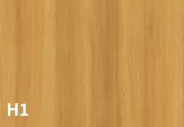 H1 エルムベージュ色