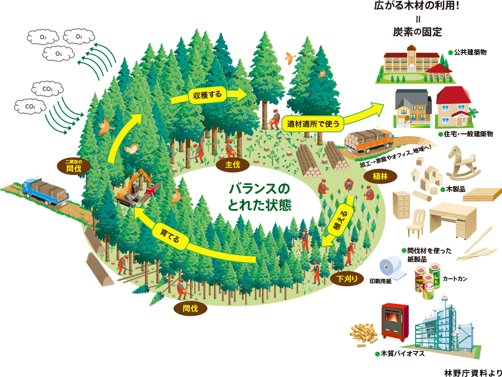 次世代に森林資源を引き継ぐために「木質資源の循環」に寄与