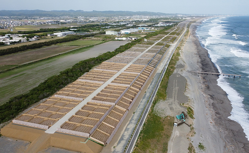 ふじのくに森の防潮堤づくりに協力