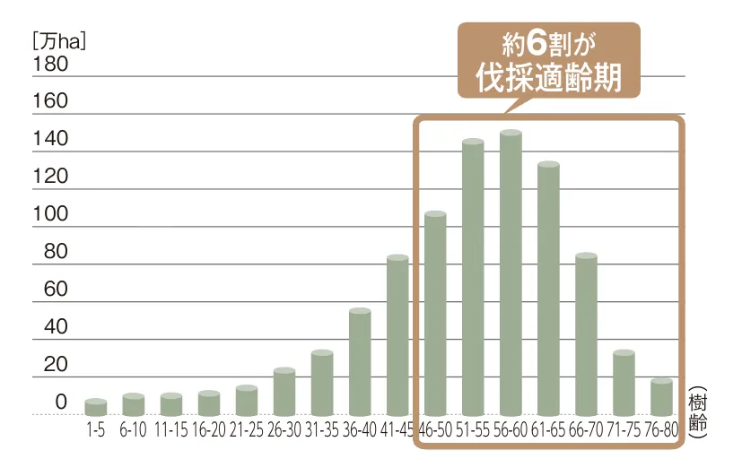 日本の森林が伐採適齢期を迎えていることを示す人工林の齢級構成グラフ